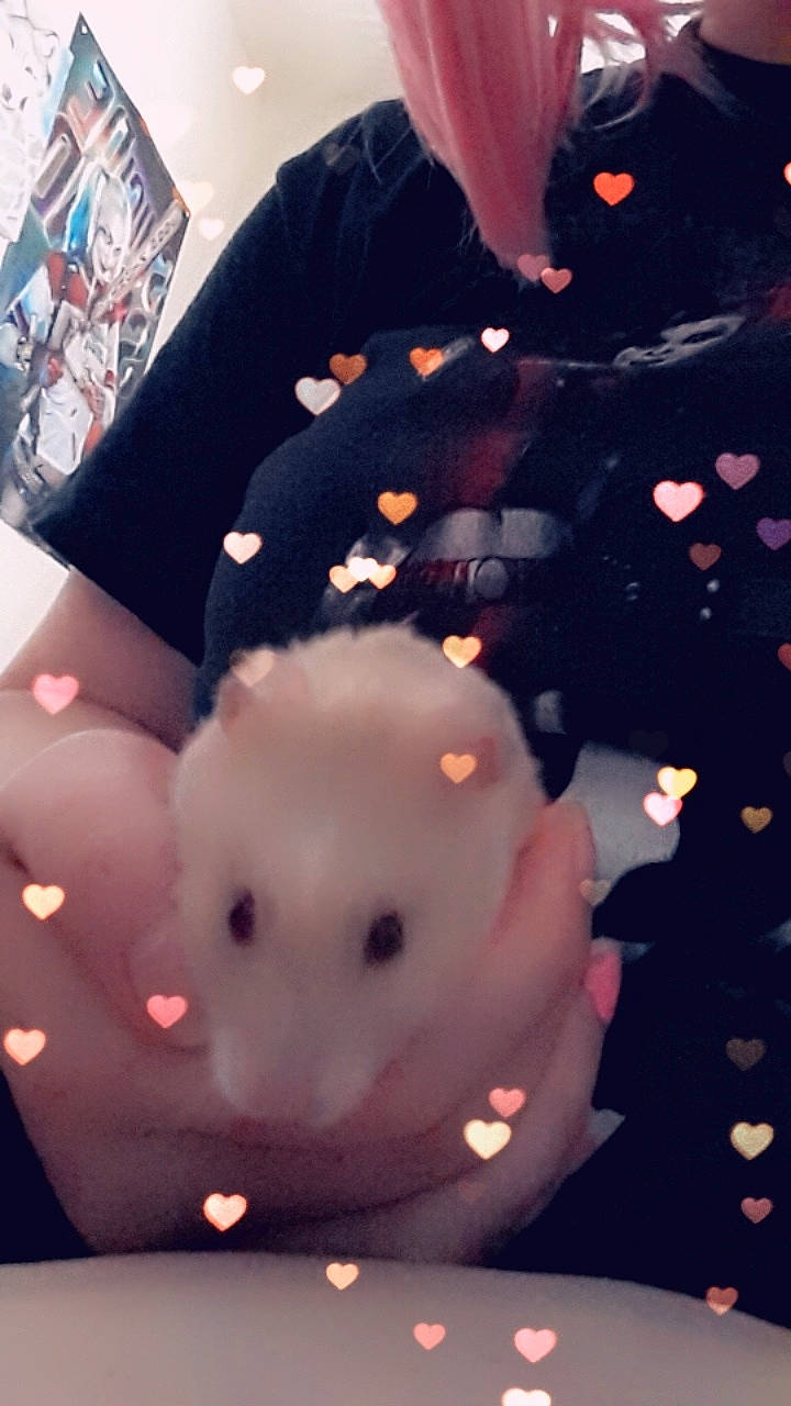 Leroy joined the competition — help win amazing prizes! ear