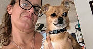 Goliath is registered to the contest to win money with this photo: woman, dog, glasses, indoor, ceiling_fan, necklace, black_collar, light_skin, short_hair, hand, sleeveless_top, white_top, watch, living_room, shelf, plant, doorway, portrait, pet, casual