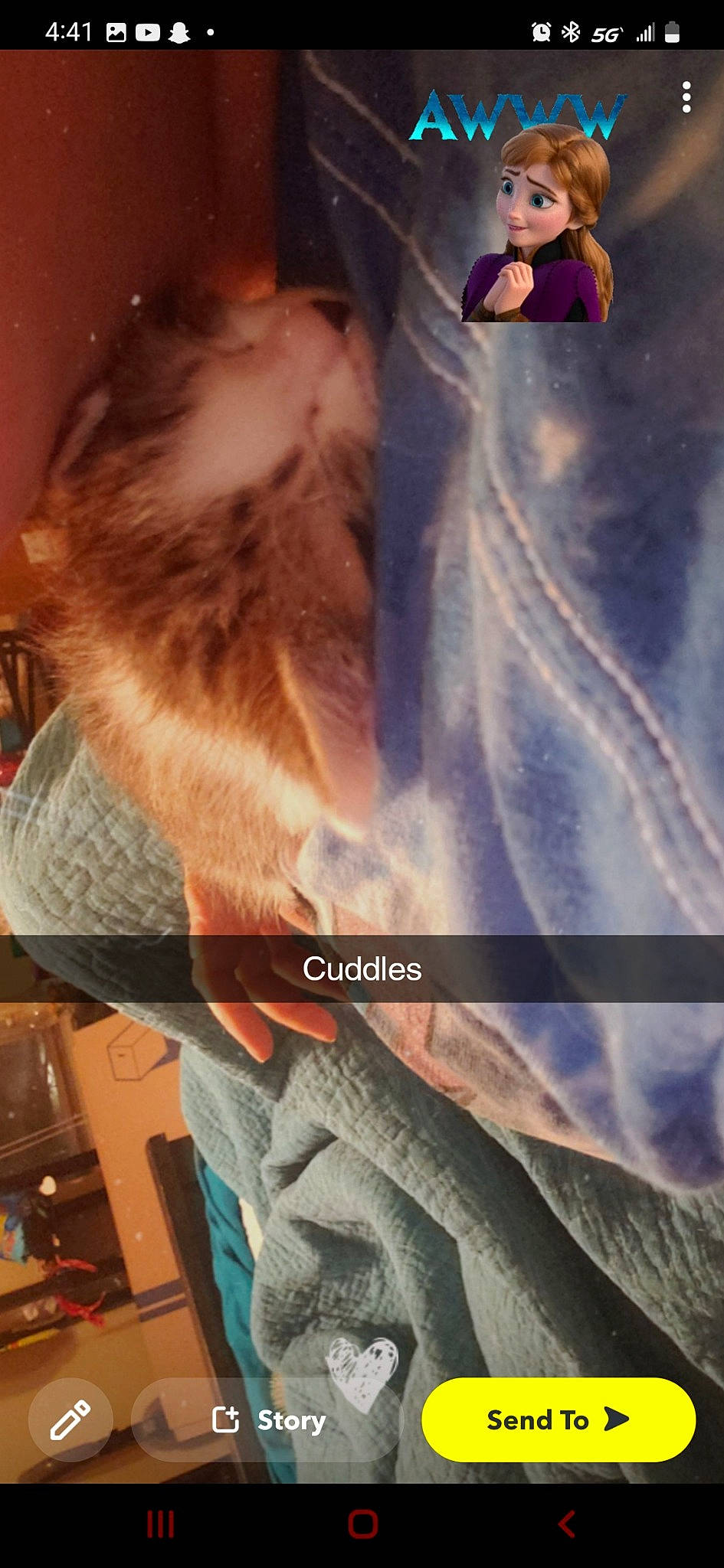 Iris is registered to the contest to win money with this photo: beard, cat, companion_dog, denim, domestic_short_haired_cat, electric_blue, fawn, felidae, fur, human_leg, jaw, neck, selfie, shoulder, sleeve, small_to_medium_sized_cats, sportswear, tail, textile, whiskers