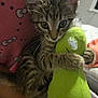 kitten, tabby, cat, toy, plush_toy, indoor, bed, blanket, pink, green, curious, pet, animal, feline, clinging, cuddle, whiskers, fur, home, cozy