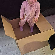 Rosalie joined the competition — help win amazing prizes! toddler, child, cardboard_box, pink_onesie, socks, dog, couch, wooden_floor, indoor, curly_hair, playful, standing, pet, flooring, home, casual, young_child, box, curiosity, animal