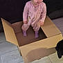 toddler, child, cardboard_box, pink_onesie, socks, dog, couch, wooden_floor, indoor, curly_hair, playful, standing, pet, flooring, home, casual, young_child, box, curiosity, animal
