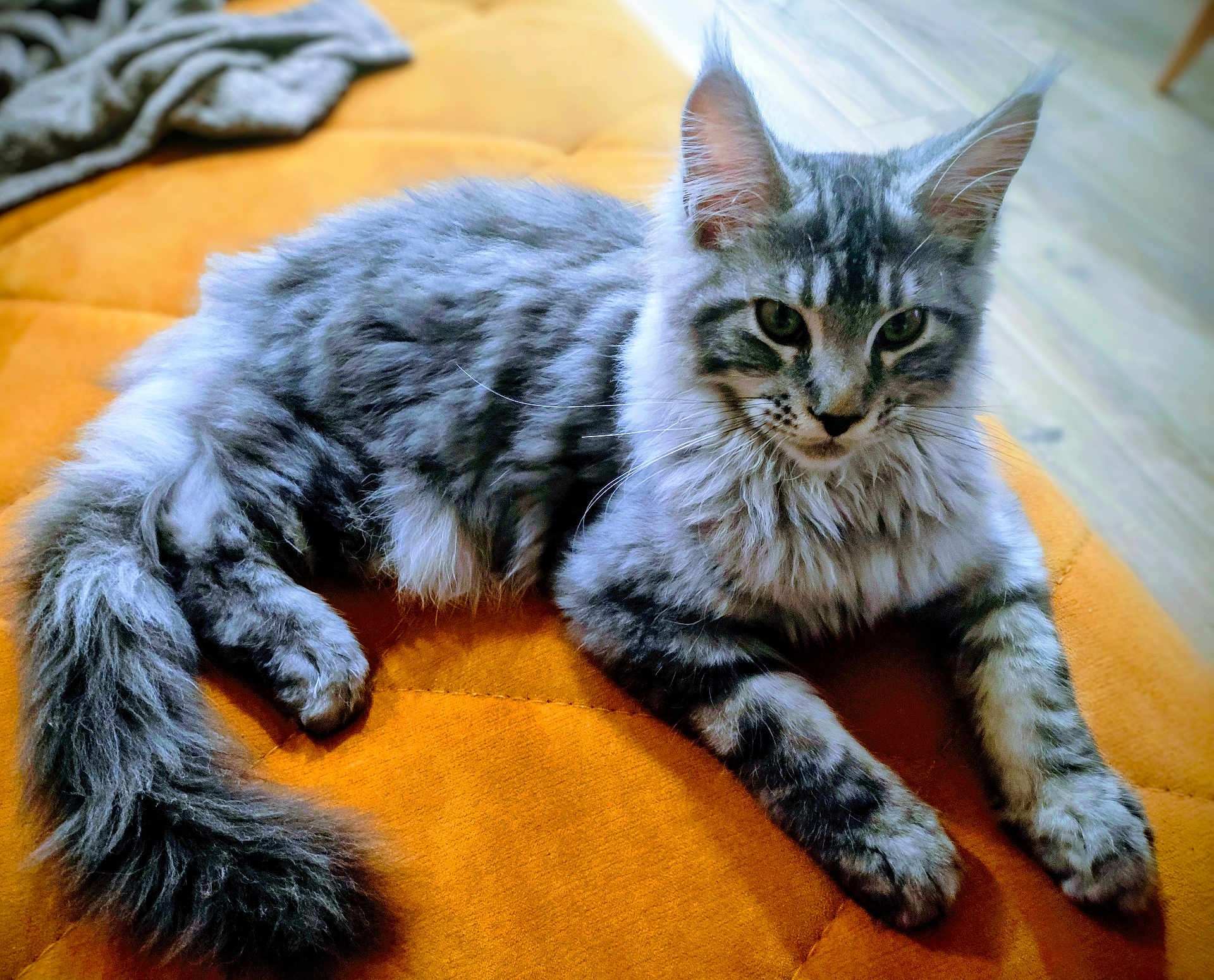 Ajax