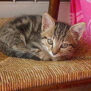 Capucine participe au concours pour gagner de l'argent avec cette photo :