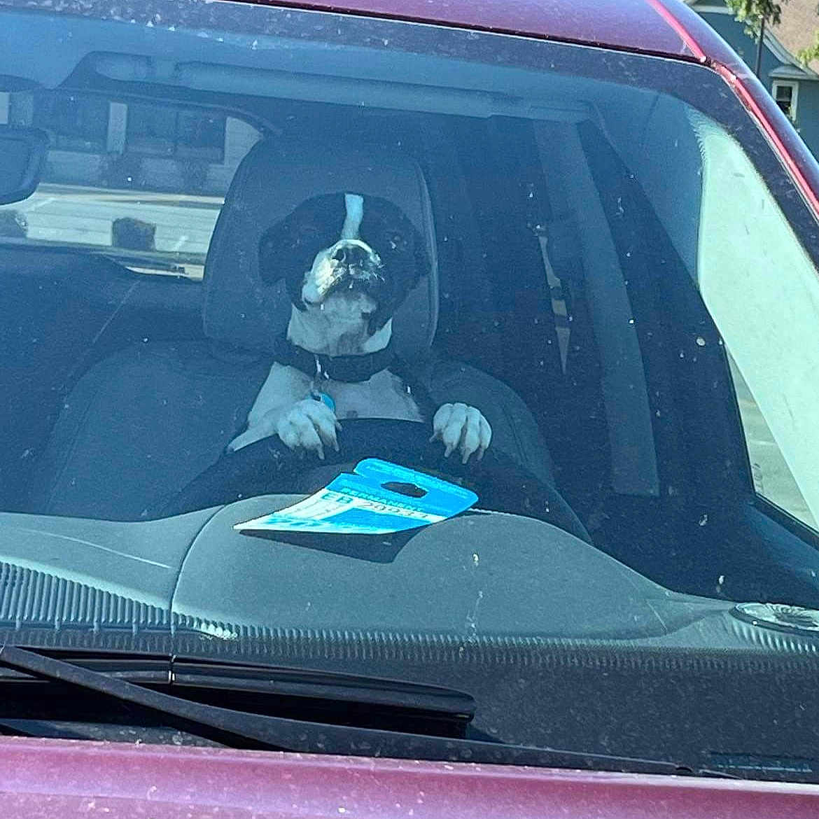 Roxy joined the competition — help win amazing prizes! automotive_carrying_rack, automotive_design, automotive_exterior, automotive_lighting, automotive_mirror, automotive_tire, automotive_wheel_system, bumper, car, hardtop, hood, motor_vehicle, personal_luxury_car, rear_view_mirror, tints_and_shades, trunk, vehicle, vehicle_door, window, windscreen_wiper