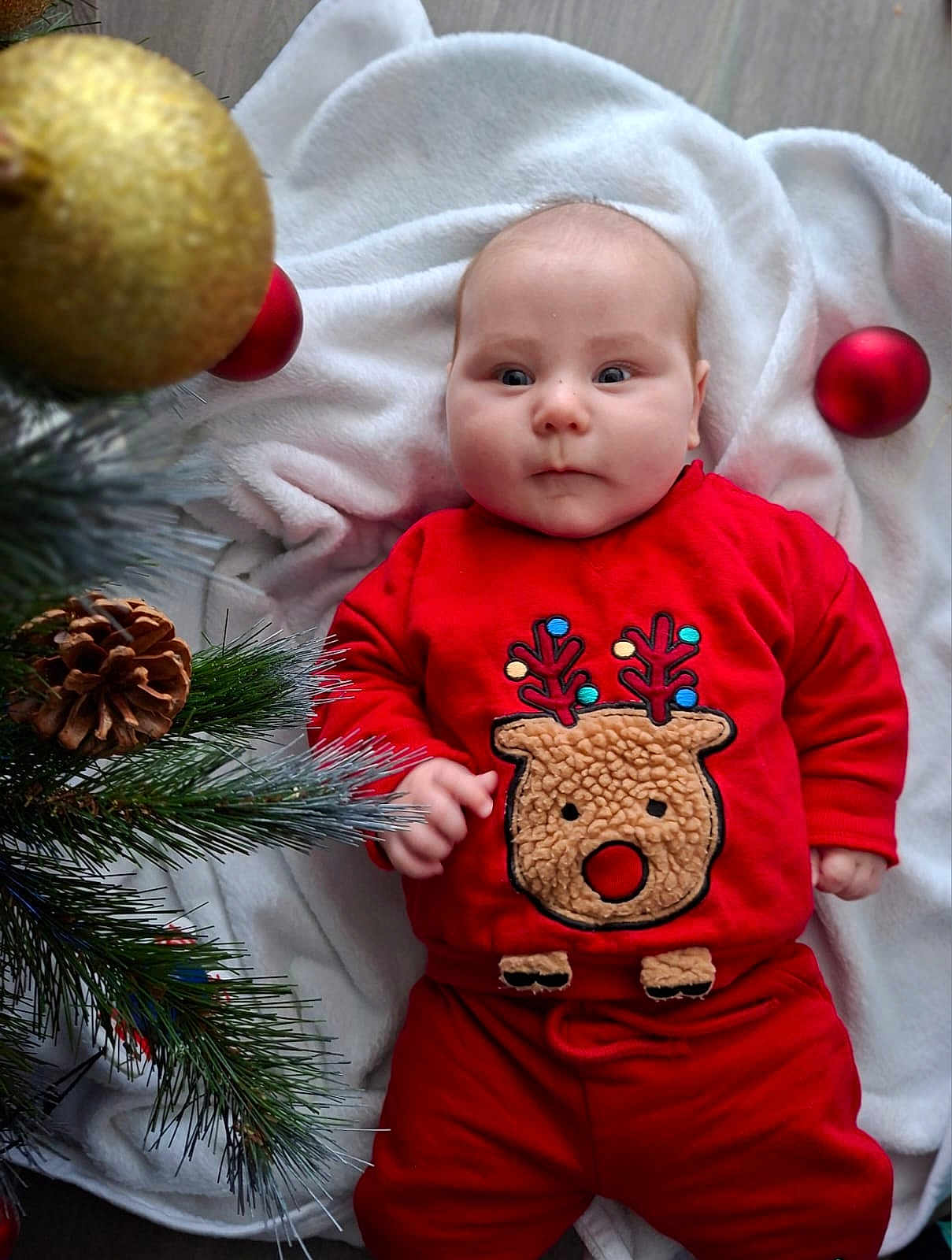 Lenny participe au concours pour gagner de l'argent avec cette photo : baby, infant, red_clothing, reindeer_design, christmas_tree, pinecone, christmas_ornament, blanket, holiday, festive, cute, face, child, indoors, floor, winter, seasonal, portrait, smiling, person
