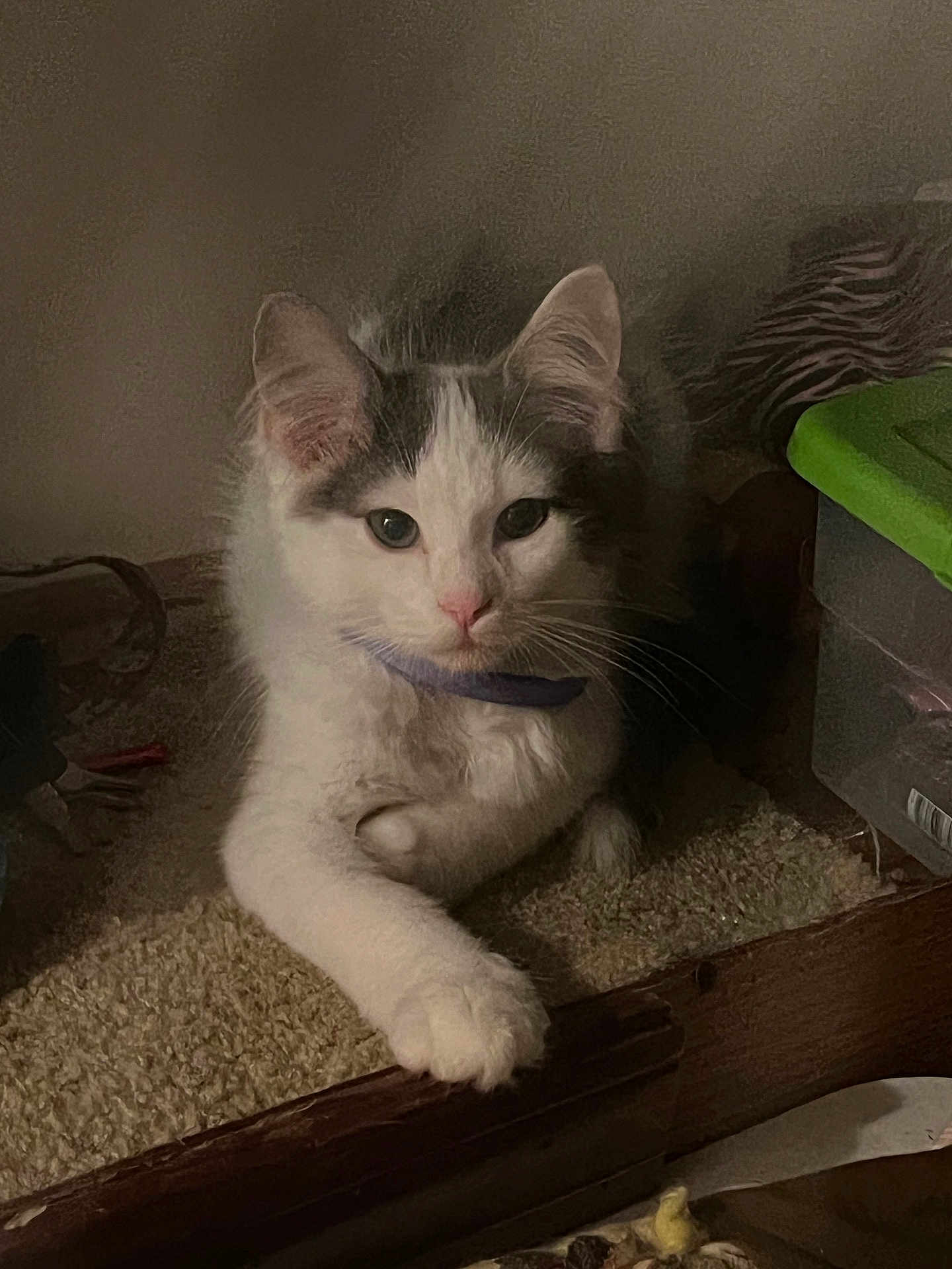 Mine