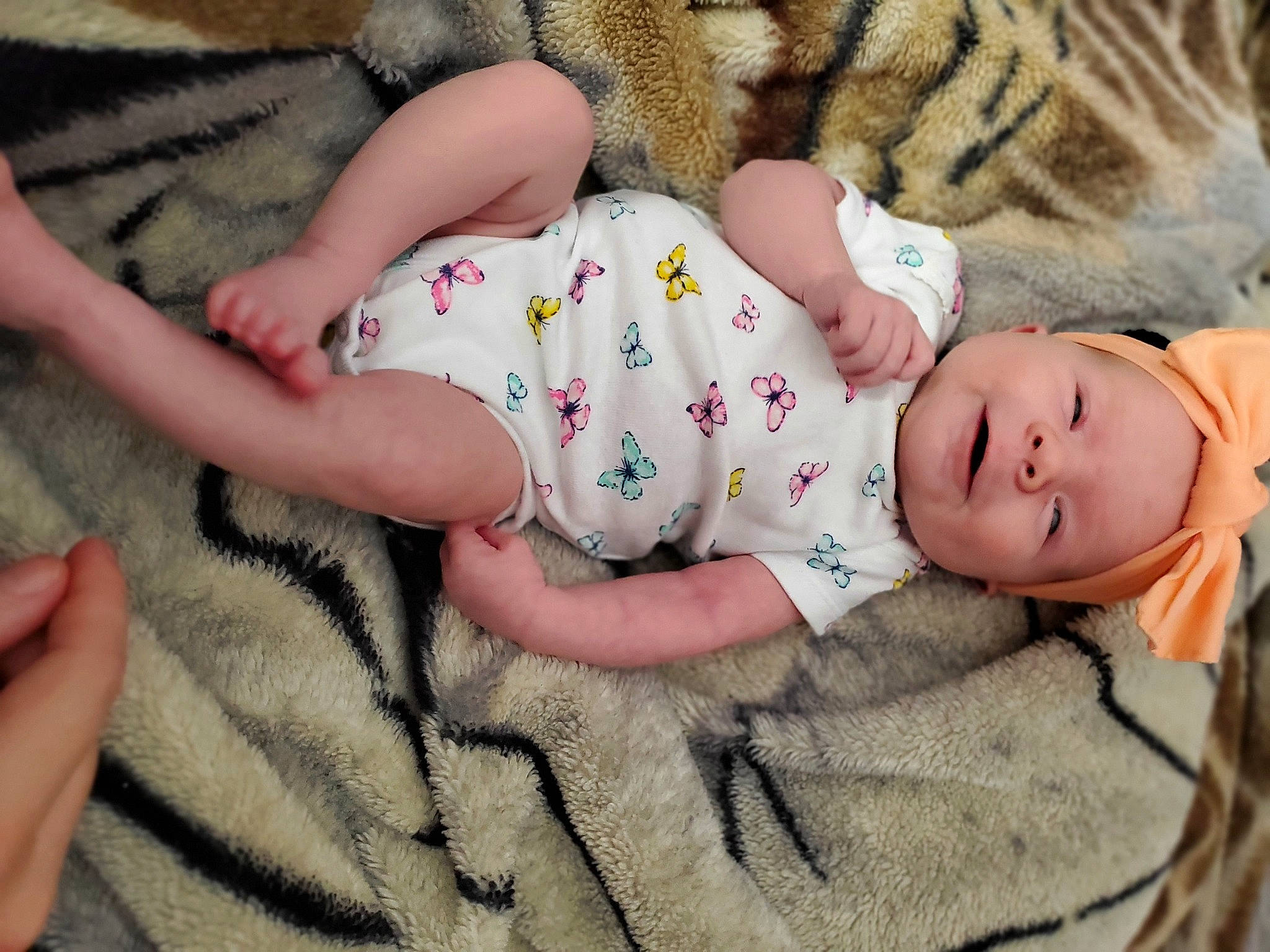Sydney is registered to the contest to win money with this photo: baby, baby_sleeping, bedtime, birth, cat, cheek, child, ear, fawn, fur, hand, nap, person, play, skin, sleep, toddler