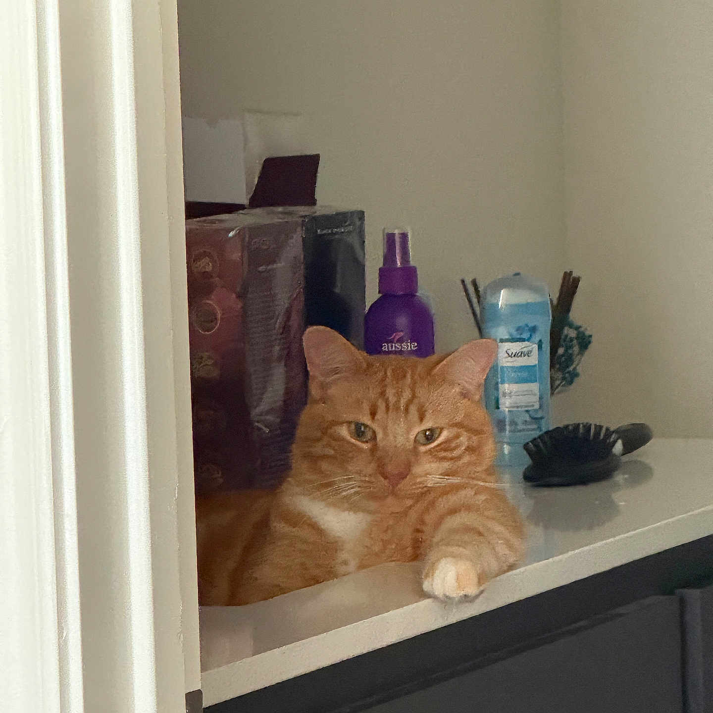 Oliver