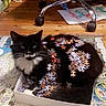 Réglisse participe au concours pour gagner de l'argent avec cette photo : cat, tuxedo_cat, black_and_white, feline, pet, animal, puzzle, jigsaw_puzzle, puzzle_pieces, cardboard_box, floor, wooden_floor, map, office_chair, wheels, indoors, sitting, whiskers, funny, text_overlay