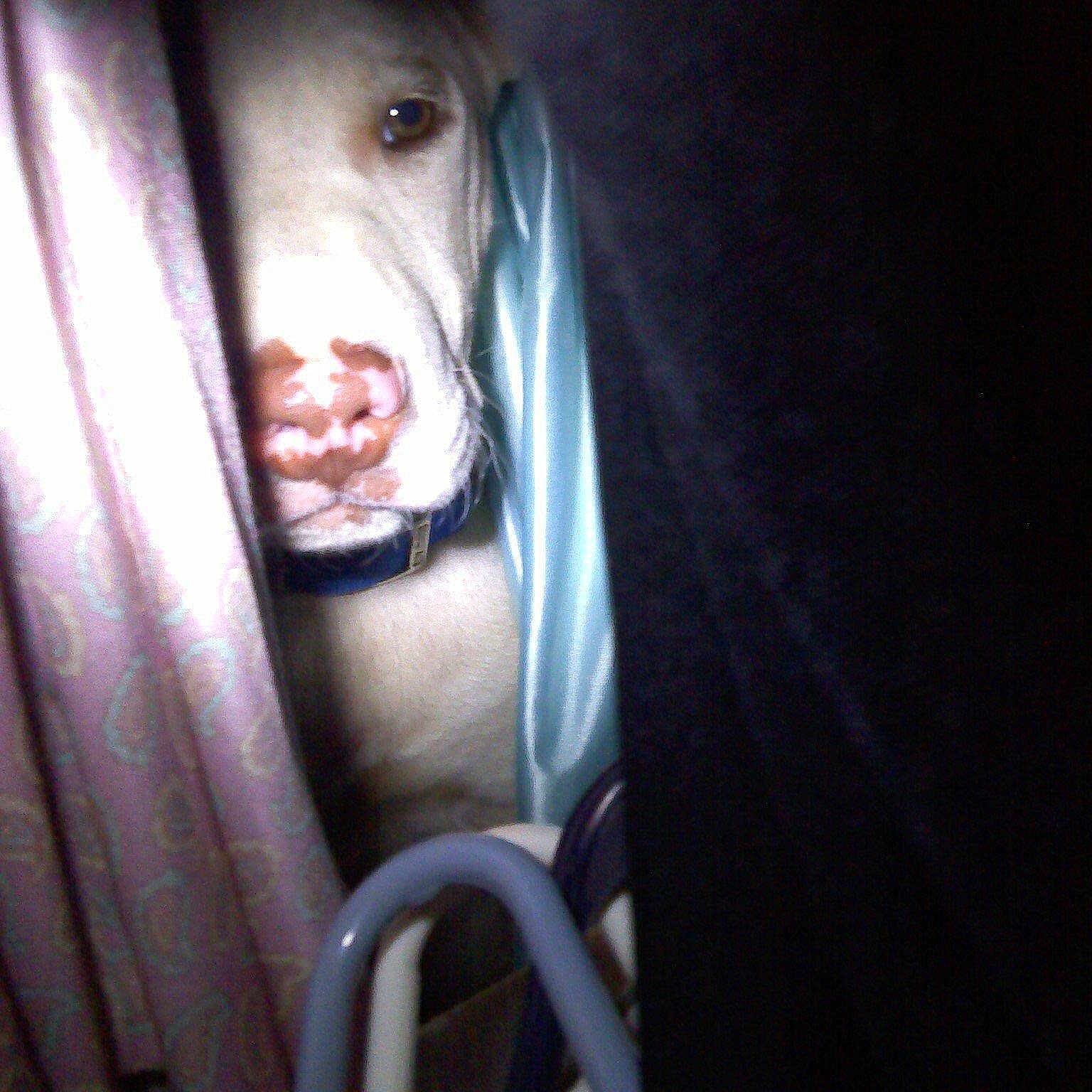 Chance joined the competition — help win amazing prizes!