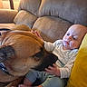 Jameson is registered to the contest to win money with this photo: animal, baby, baby_clothing, brown_dog, child, companionship, couch, cushion, dog, family, home, indoor, infant, lying_down, pet, portrait, sitting, smiling, sofa, wide_eyed