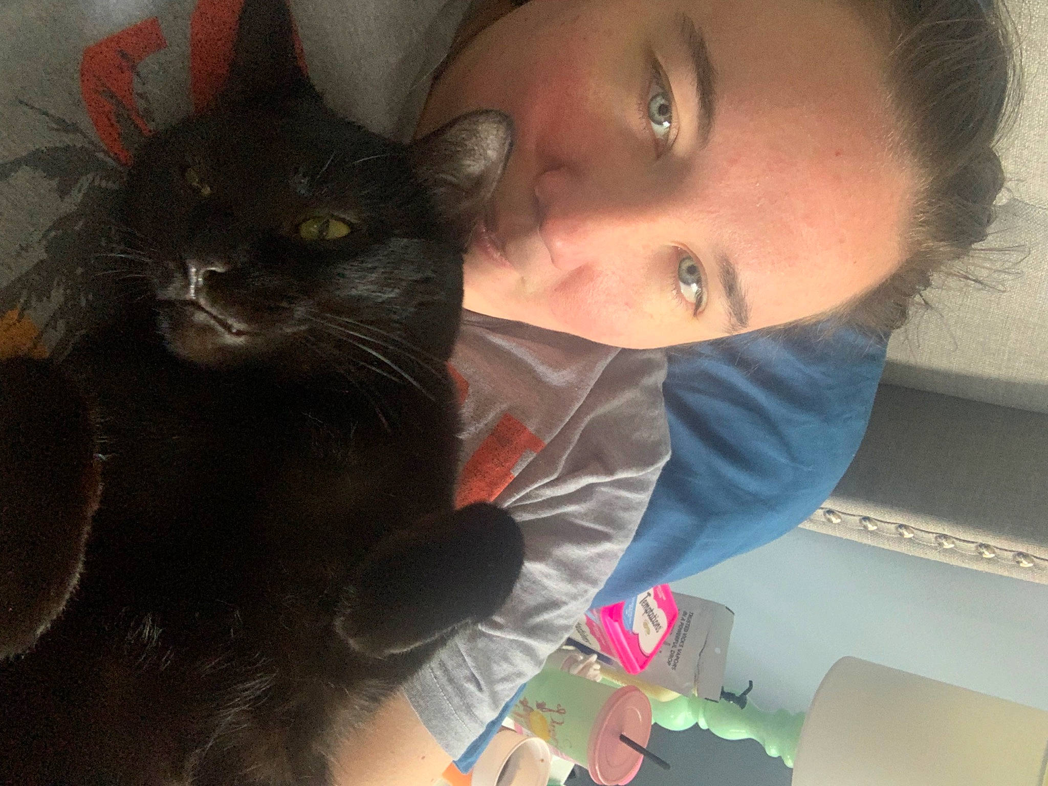 Kingsford is registered to the contest to win money with this photo: black_hair, carnivore, cat, comfort, cool, ear, eye, eyebrow, felidae, gesture, happy, iris, jaw, mouth, nose, organ, skin, small_to_medium_sized_cats, snout, whiskers