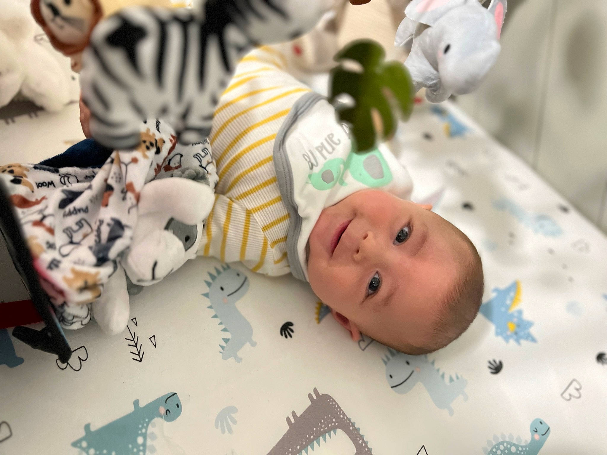 Jensen joined the competition — help win amazing prizes! baby, baby_products, baby_toddler_clothing, child, comfort, event, font, fun, fur, grass, happy, linens, pattern, person, room, skin, stuffed_toy, toddler, toy, white