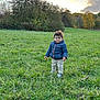 toddler, child, outdoor, field, grass, sunset, clouds, trees, jacket, pants, shoes, nature, sky, smile, young_child, person, casual_clothing, greenery, daylight, playful