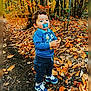 child, toddler, pacifier, blue_sweater, blue_sneakers, autumn, forest, leaves, fall, outdoor, nature, trees, path, curious, standing, person, young_child, clothing, seasonal, daylight
