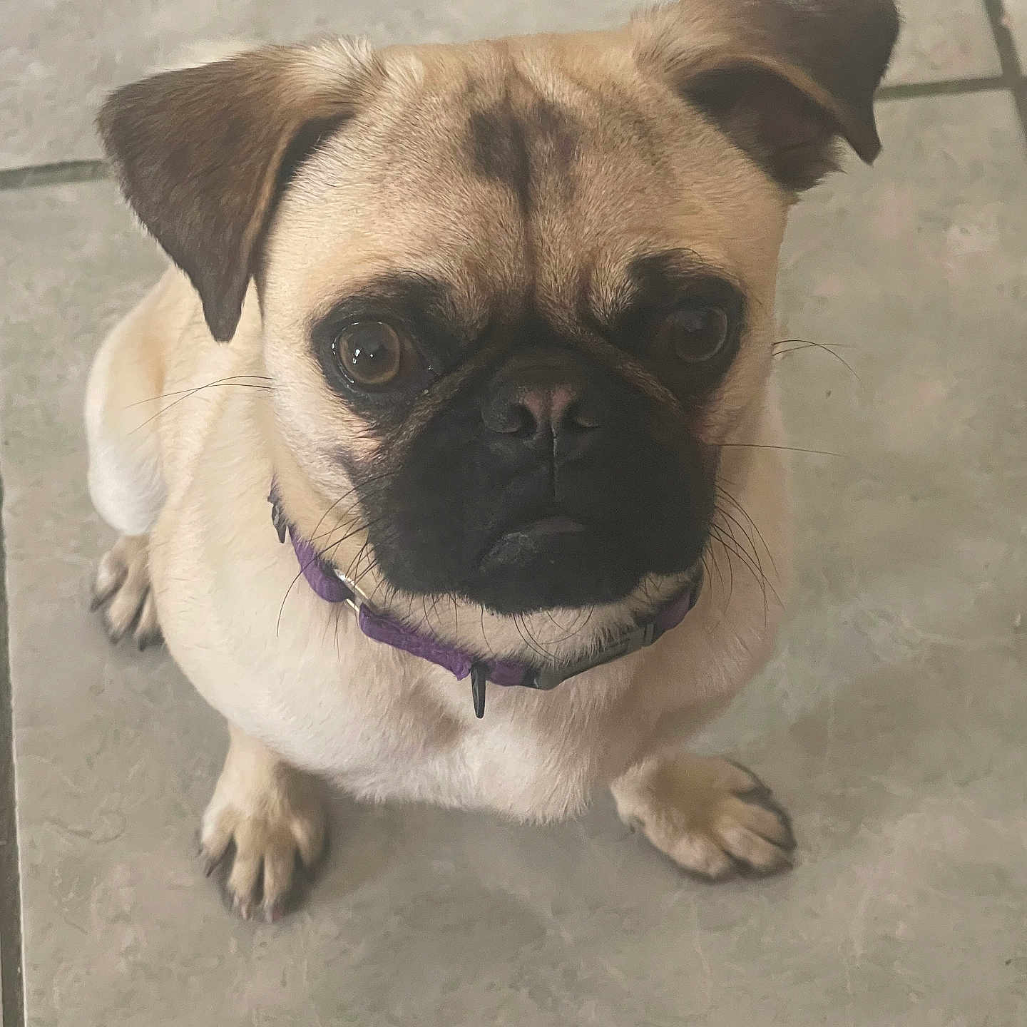 Frank