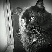 Prune participe au concours pour gagner de l'argent avec cette photo :