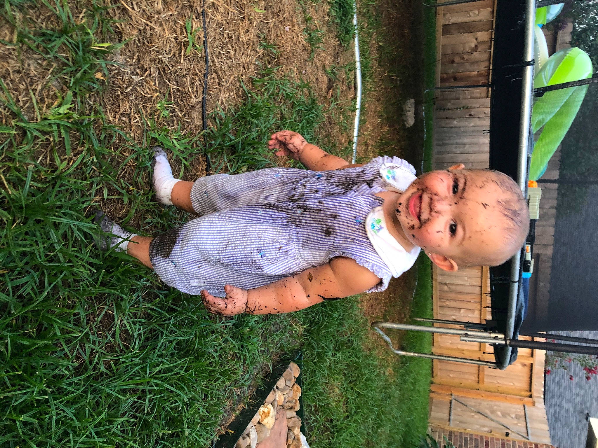 Kodi joined the competition — help win amazing prizes! child, grass, person, tree