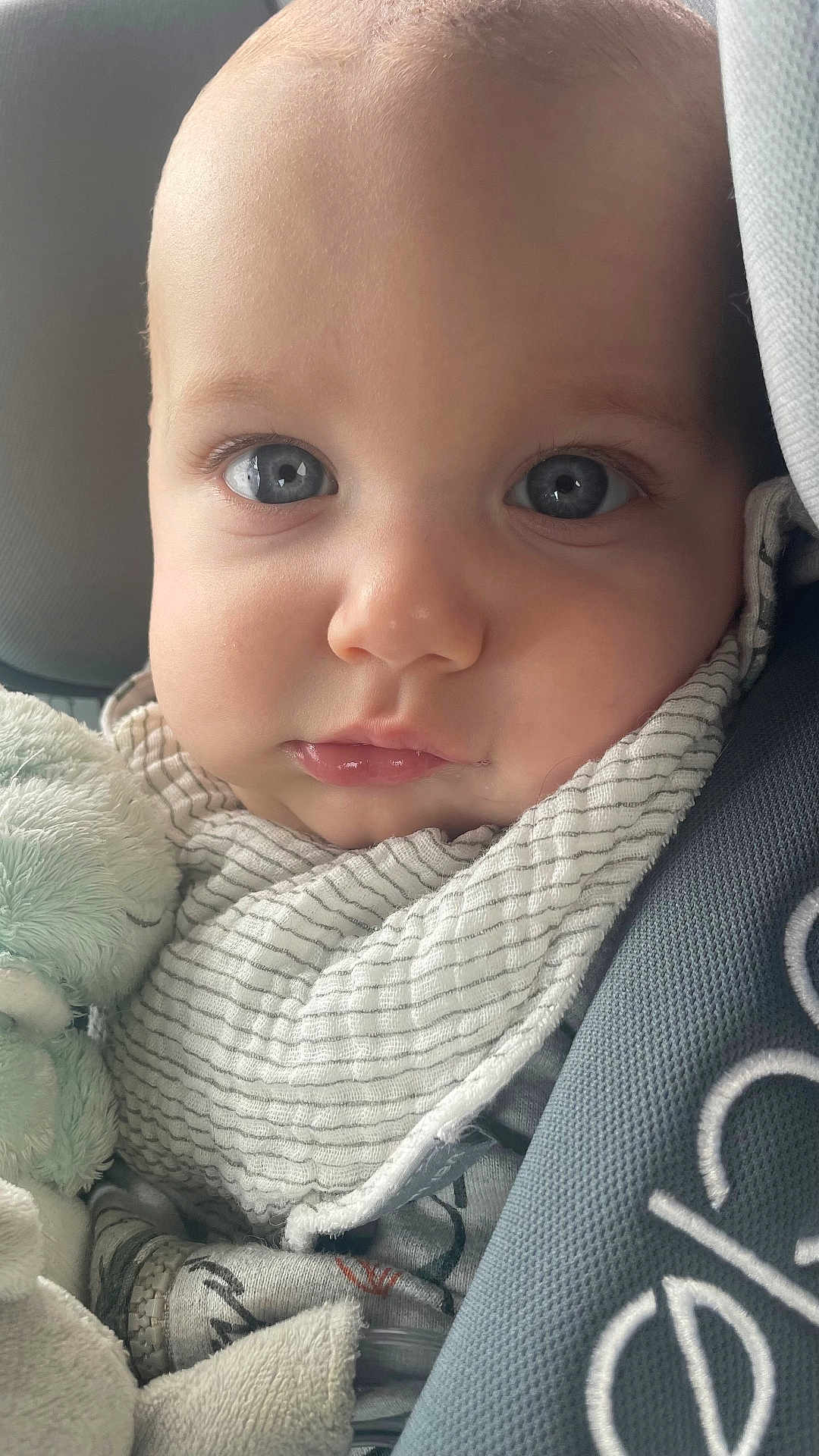 Lyvio a rejoint le concours — aidez-le/la à gagner de superbes lots ! baby, close_up, blue_eyes, chubby_cheeks, car_seat, blanket, scarf, infant, child, face, cute, soft_light, indoor, portrait, young_child, clothing, comfort, seat_belt, expression, curious