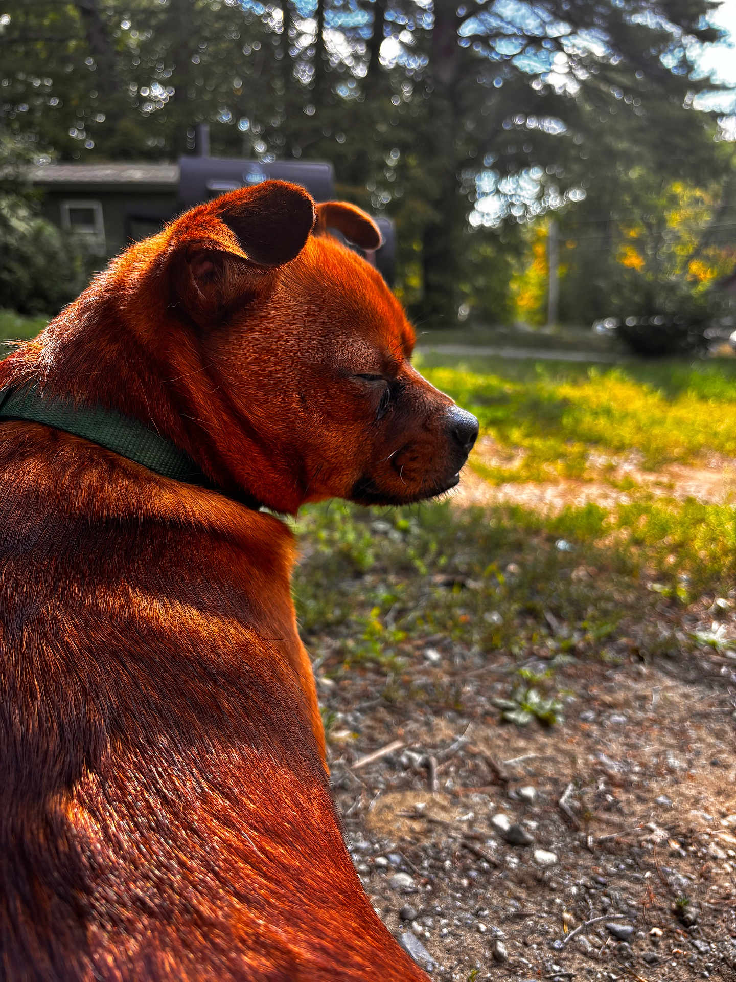 Oakley