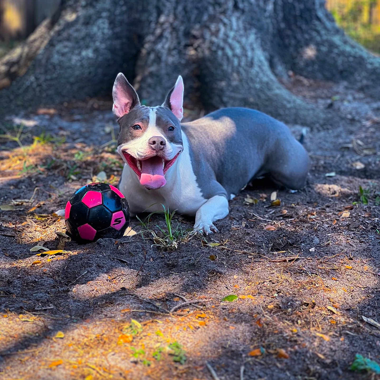 Luna