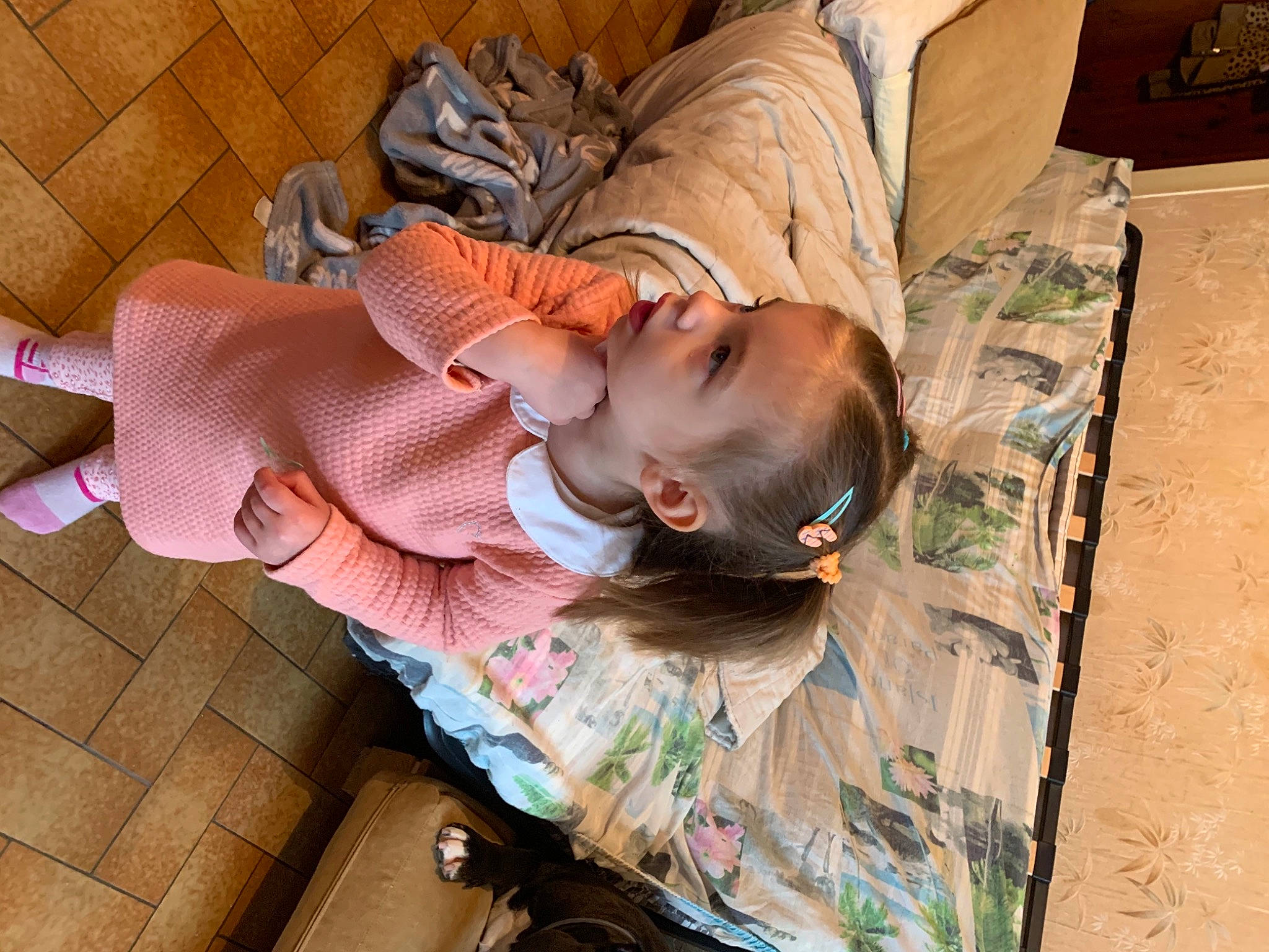 Hëlyana participe au concours pour gagner de l'argent avec cette photo : canidae, child, fawn, nap, person, sleep, sporting_group