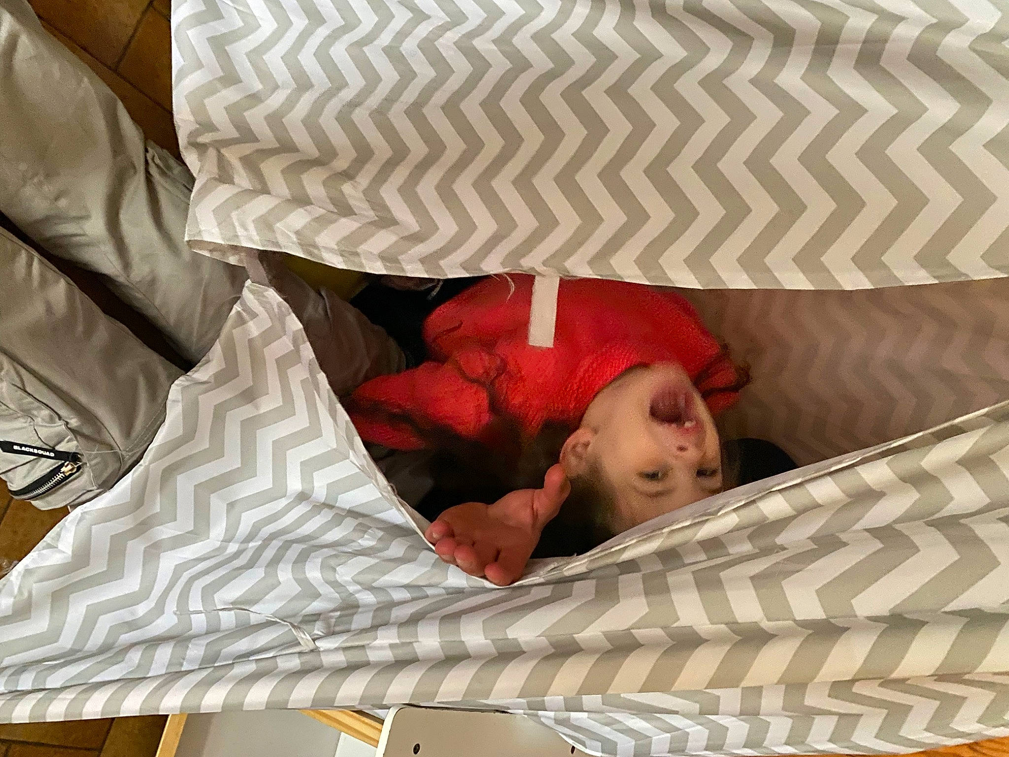 Hëlyana participe au concours pour gagner de l'argent avec cette photo : baby, baby_products, baby_safety, baby_sleeping, bed, bed_frame, bedding, bedroom, bedtime, comfort, couch, headwear, infant_bed, leg, linens, pattern, person, pillow, room, textile