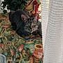 animal, buddha_statue, cat, colorful, curtains, decor, feline, floral_pattern, greenery, home, indoor, looking, natural_light, ornament, pet, plant, sitting, tabby_cat, tablecloth, window