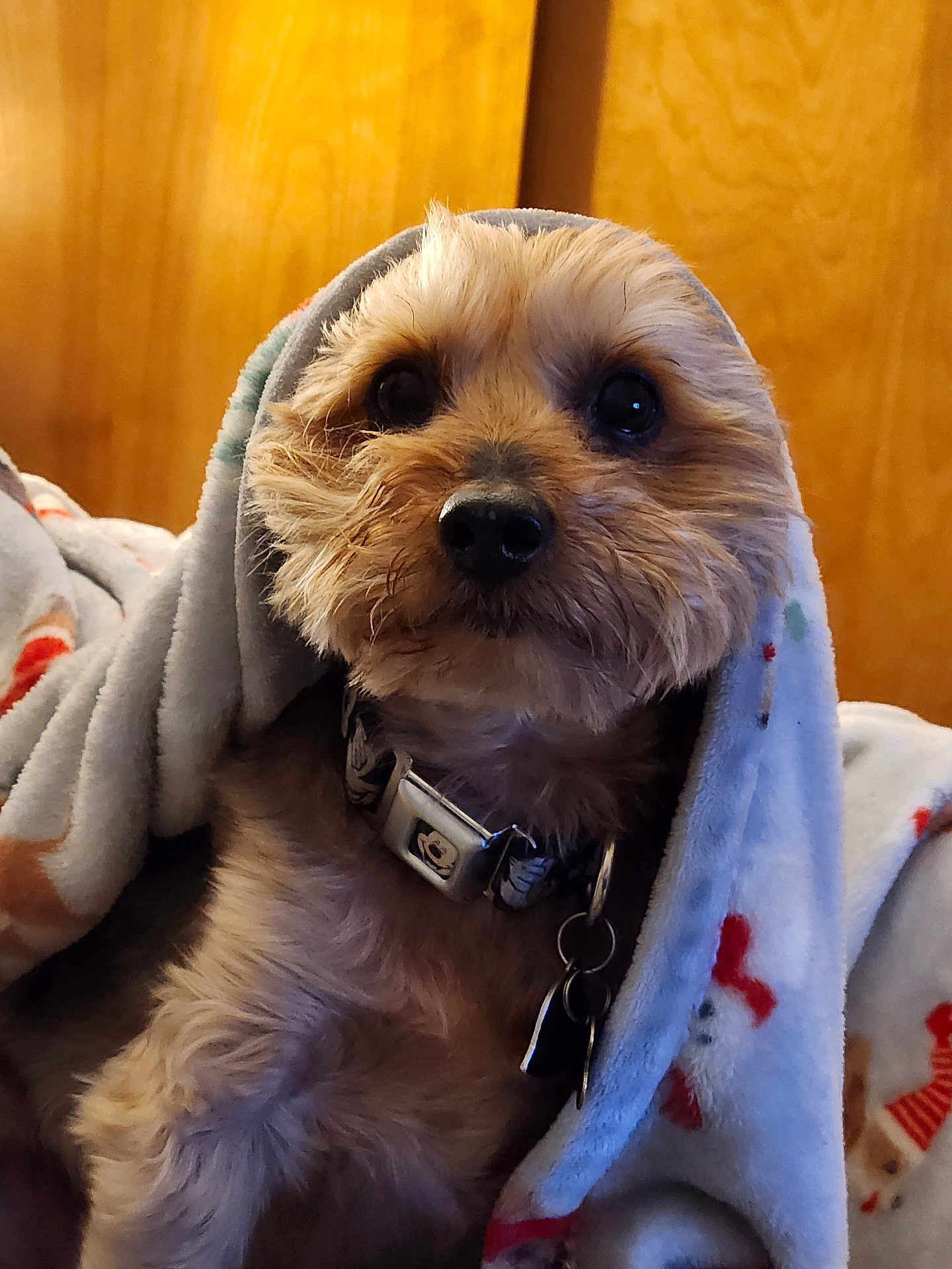 Max