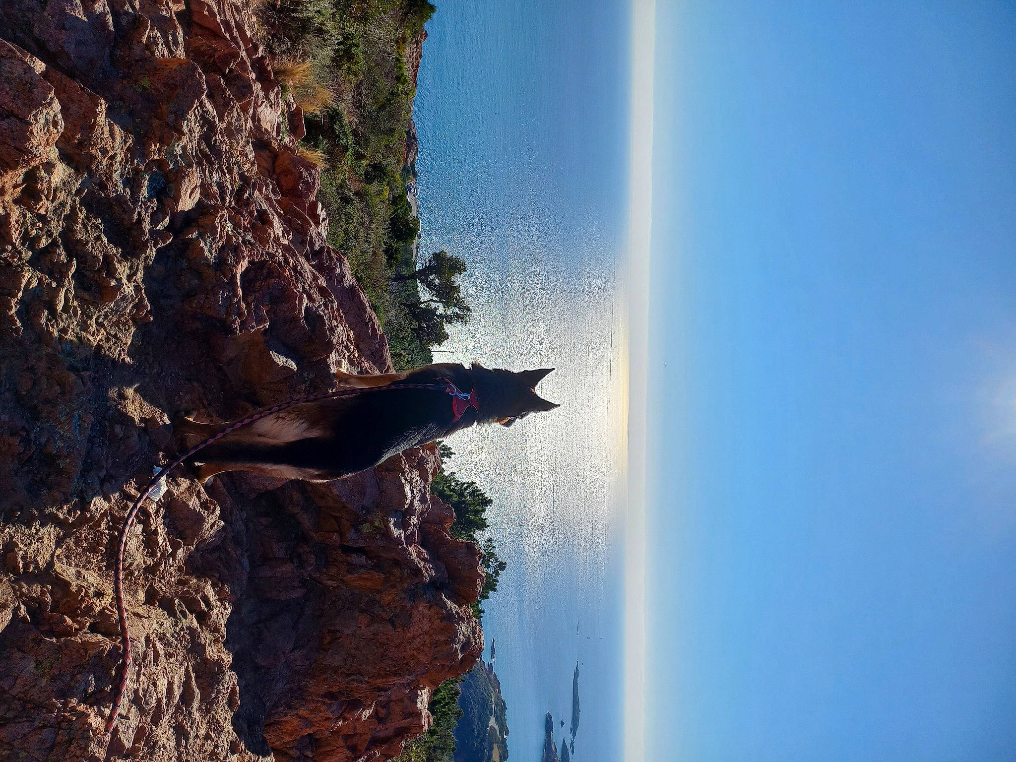 Lucas a rejoint le concours — aidez-le/la à gagner de superbes lots ! art, azure, bedrock, daytime, escarpment, formation, landscape, line, mountain, nature, outcrop, plant, rock, sky, sunlight, terrain, tree, trunk, water, wood