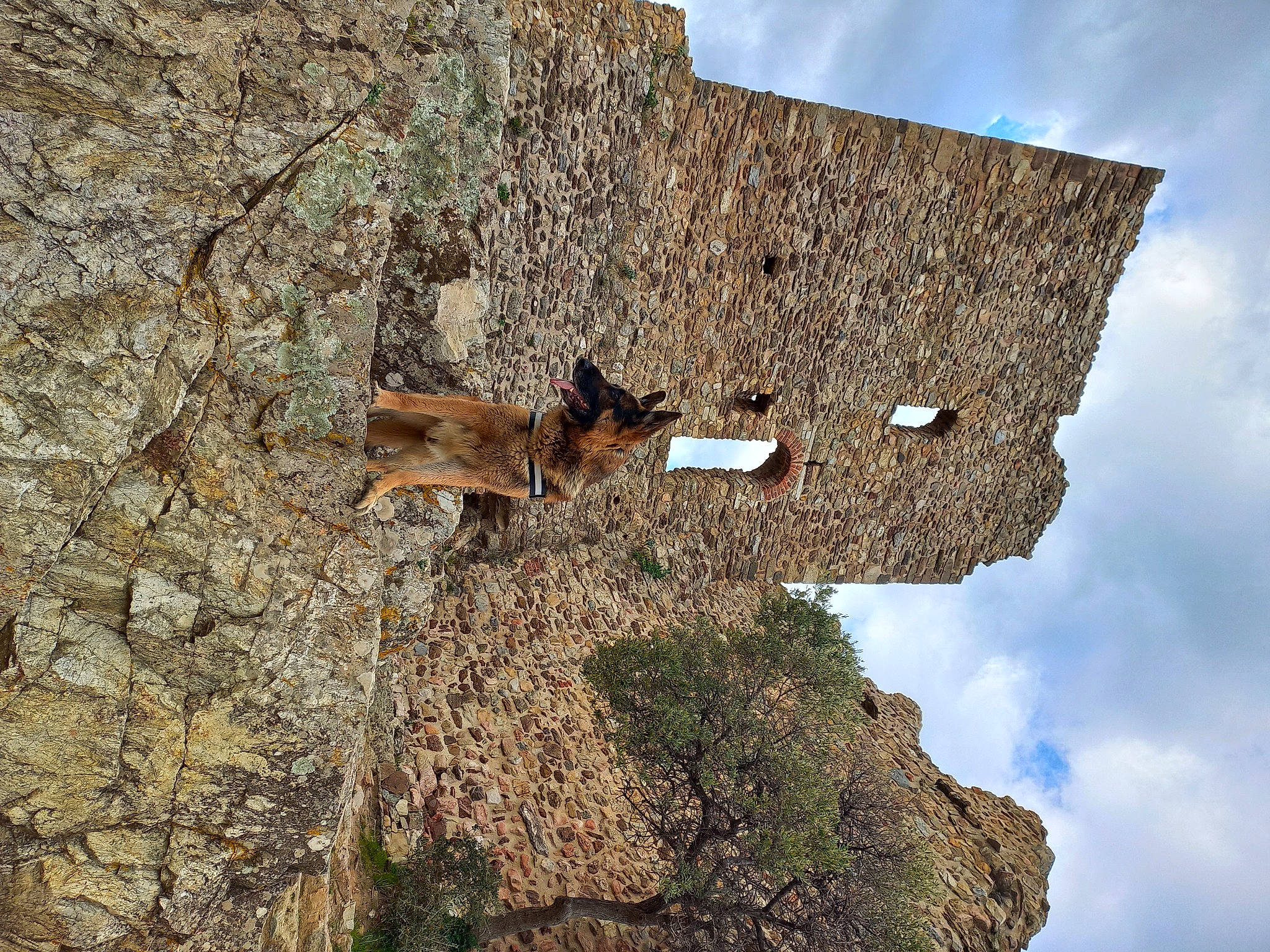 Lucas participe au concours pour gagner de l'argent avec cette photo : bedrock, building, cloud, cumulus, facade, fault, formation, history, landscape, mountain, outcrop, plant, rock, sky, soil, stone_wall, terrain, tree, trunk, wood