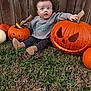 Wesley is registered to the contest to win money with this photo: autumn, baby, boots, child, clothing, curious, cute, fall, festive, grass, holiday, jack_o_lantern, nature, outdoor, polka_dot_pants, pumpkin, seasonal, smiling_pumpkin, sweater, wooden_fence