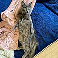 Nicolas M.