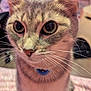 Mia joined the competition — help win amazing prizes! cat, close_up, pet, feline, curious, whiskers, collar, indoor, soft_focus, portrait, animal, tabby, ears, eyes, sitting, fur, domestic, cute, face, household