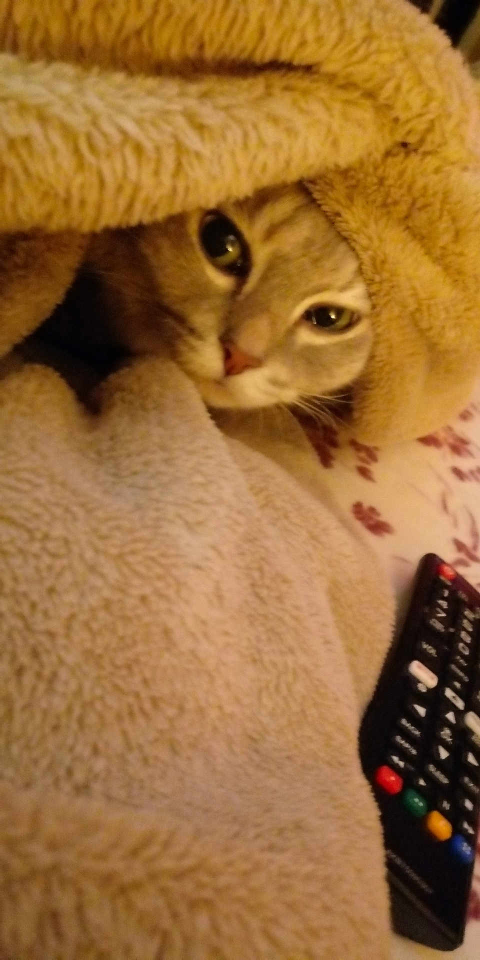 Mia