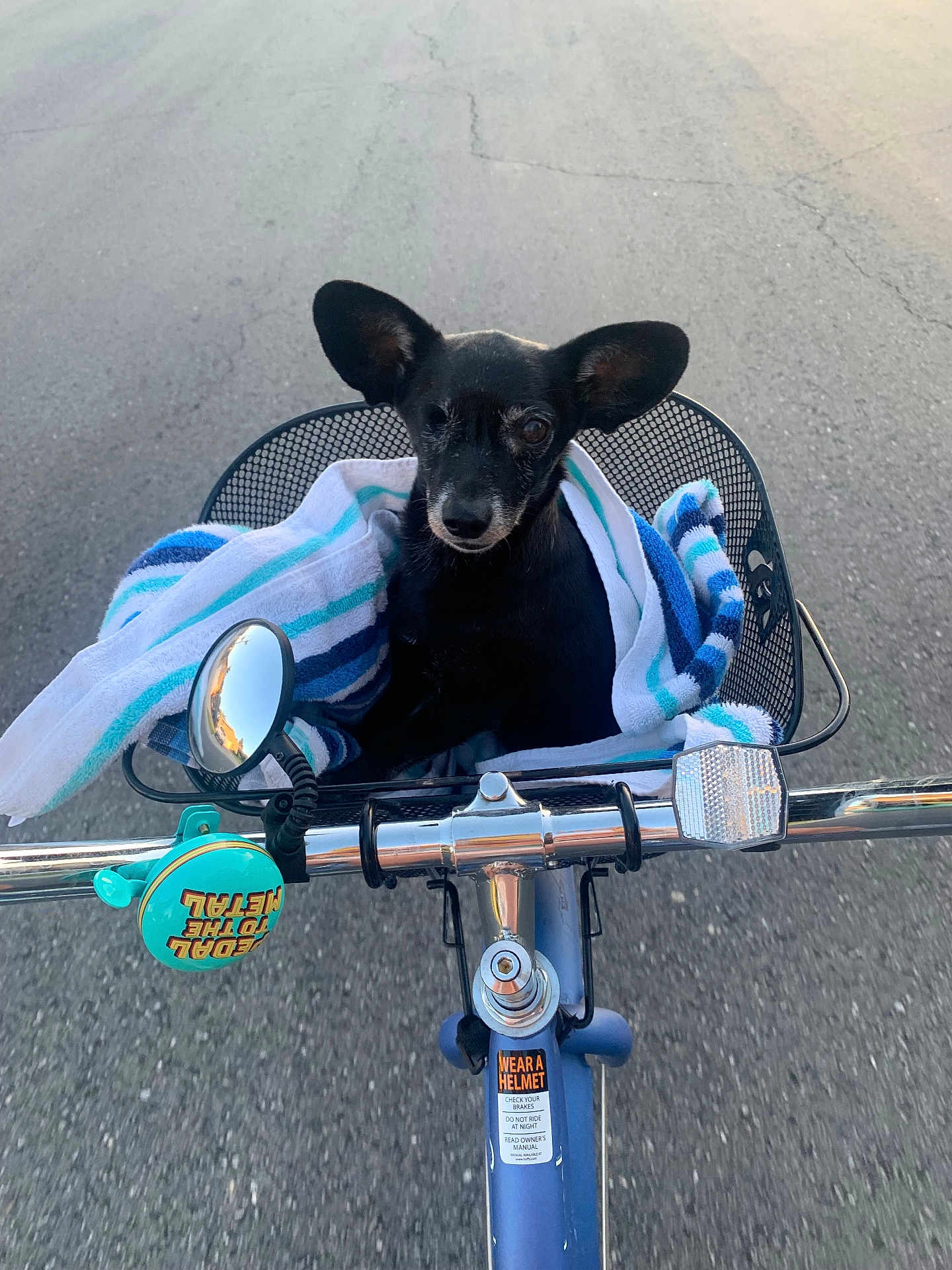 Mojo