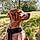 Marley
