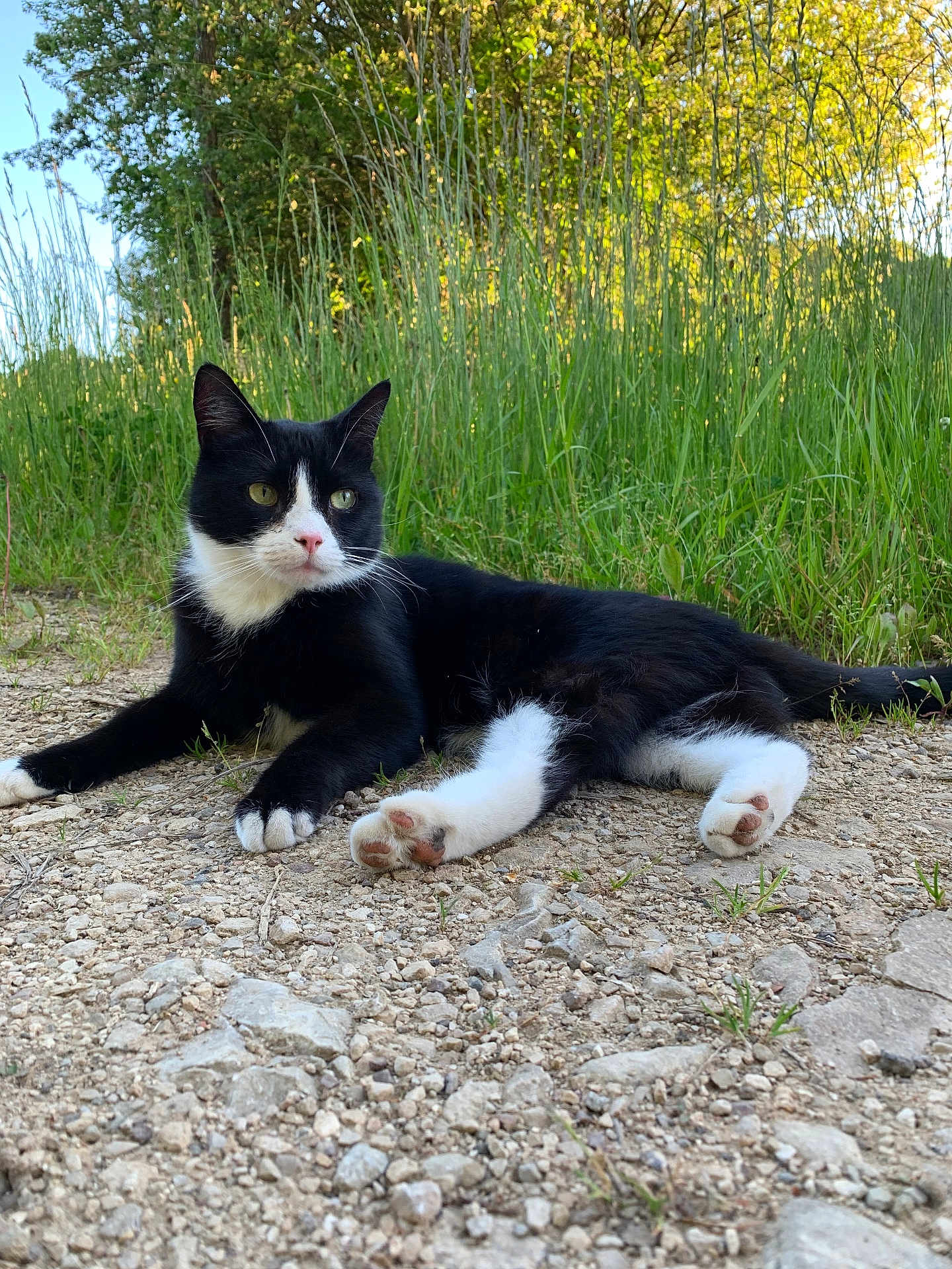Marley