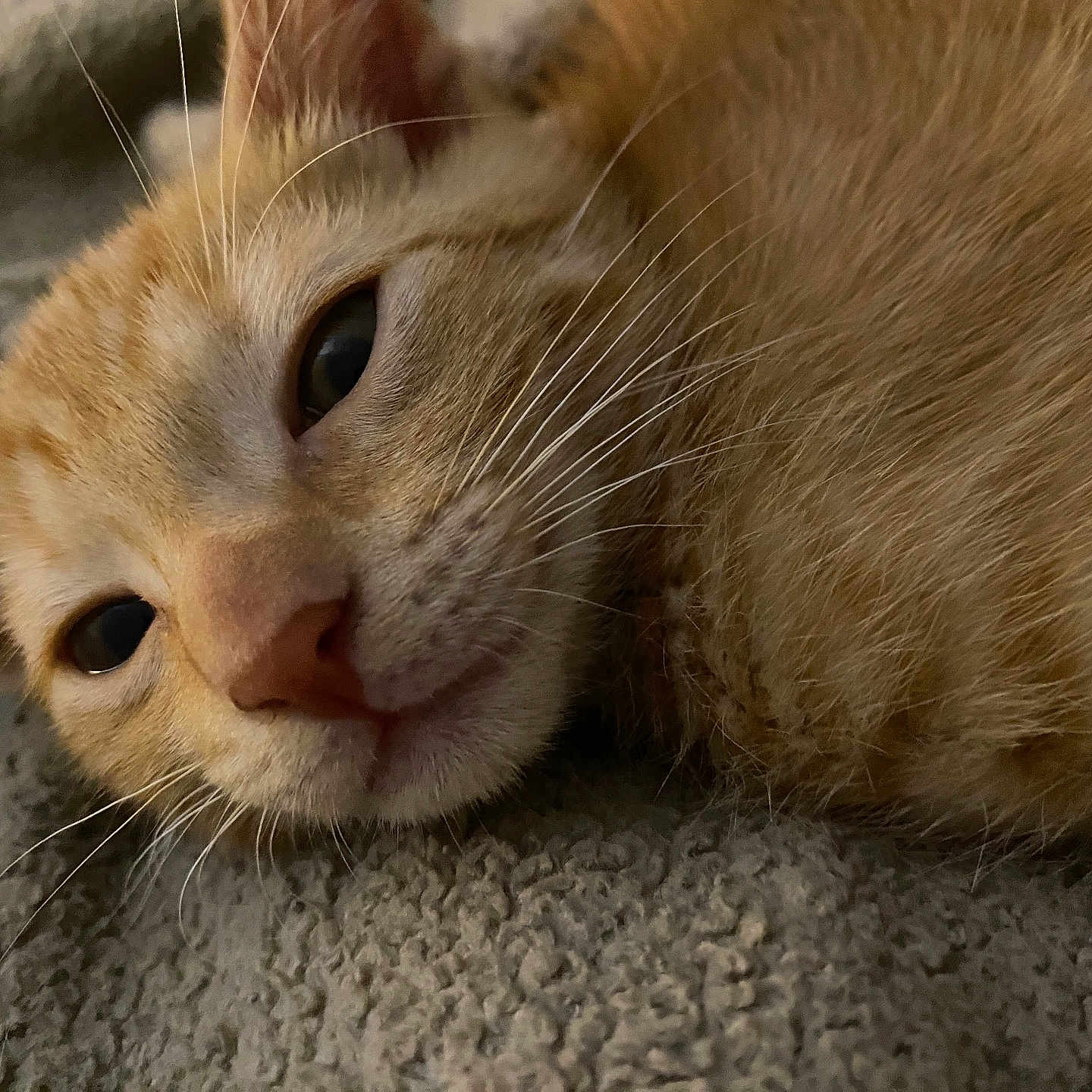 Honey