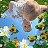 baby, blue_sky_reflection, closeup, daisies, flower_arrangement, grass, green_leaves, hands, head, infant, lawn, mirror, outdoor, playful, portrait, reflection, summer, sunflowers, toddler, white_flowers