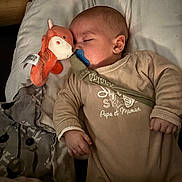 Ariano a rejoint le concours — aidez-le/la à gagner de superbes lots ! baby, infant, sleeping, pacifier, plush_fox, pillow, blanket, onesie, hand, toy, bedding, cozy, nap, indoor, crib, soft_toy, closed_eyes, pacifier_clip, portrait, bedtime