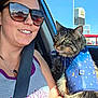 woman, cat, sunglasses, car, seatbelt, tank_top, tabby_cat, harness, blue_sky, sunlight, portrait, pet, animal, happy, smile, window, reflection, road_sign, travel, daylight