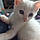 Casper
