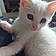 Casper