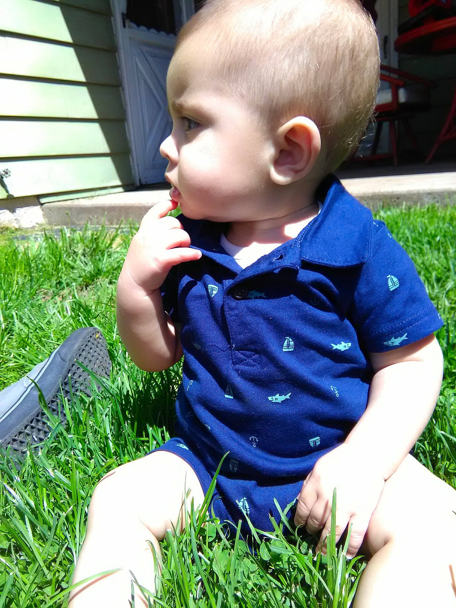 Kaleb is registered to the contest to win money with this photo: baby, child, garden, grass, grass_family, green, hand, head, lawn, leaf, male, person, plant, sitting, skin, smile, spring, summer, toddler, vacation