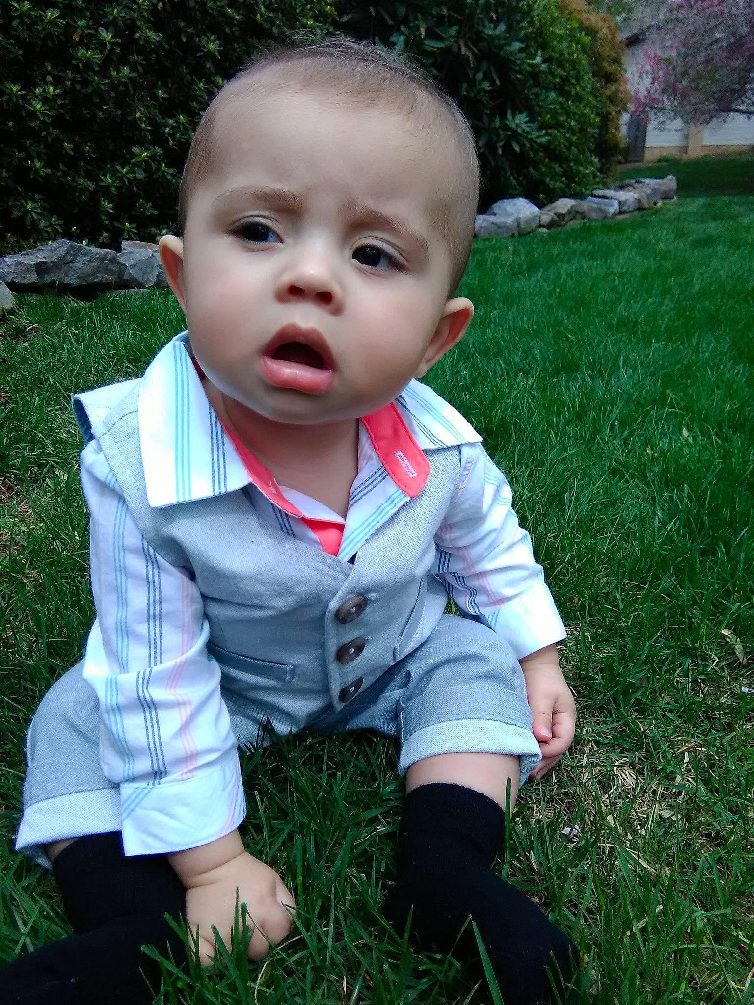 Kaleb is registered to the contest to win money with this photo: baby, cheek, child, grass, grass_family, head, lawn, male, person, plant, skin, smile, toddler