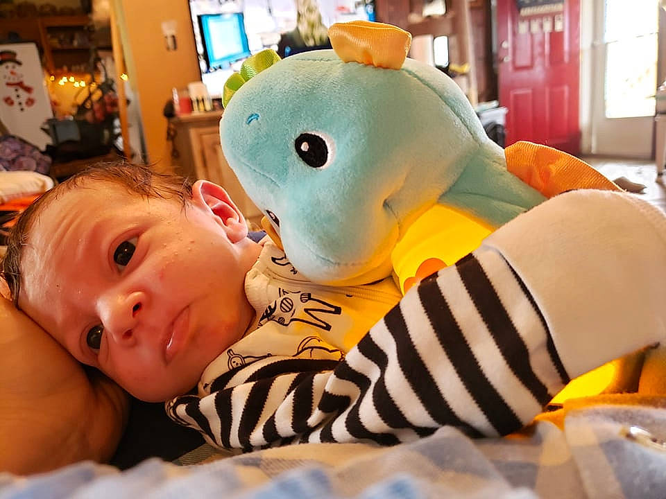 Creed joined the competition — help win amazing prizes! baby, child, facial_expression, fun, hairstyle, happy, leisure, mammal, mouth, orange, person, play, plush, recreation, room, skin, stuffed_toy, t_shirt, toddler, toy