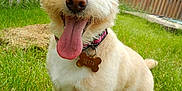Setta is registered to the contest to win money with this photo: