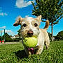 Setta is registered to the contest to win money with this photo:
